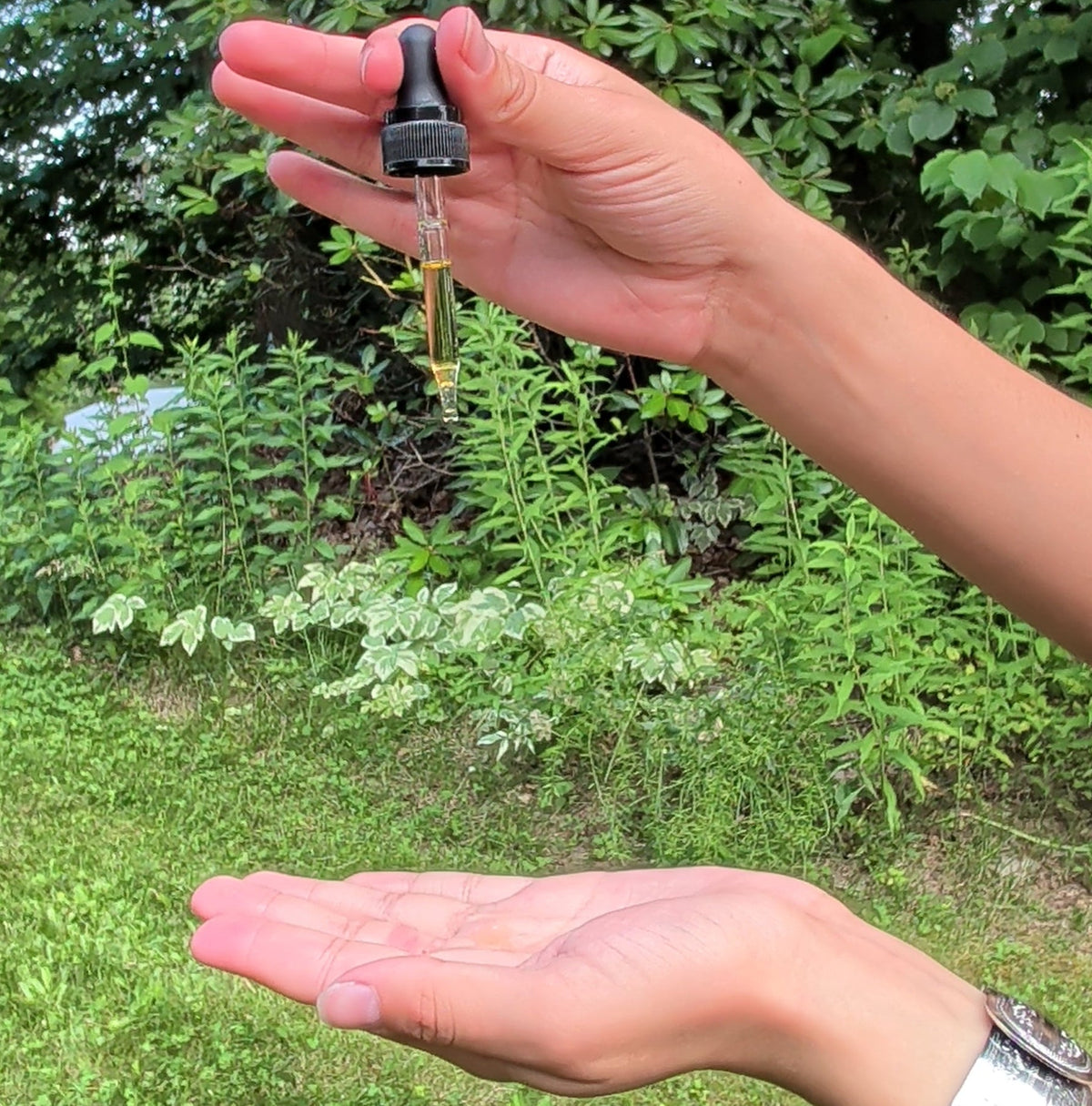 Applying drops of Wyldflower Apothecary botanical face oil to the palm of a hand